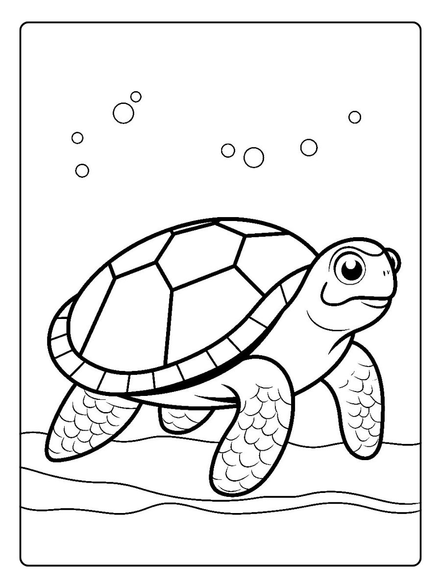 coloriage tortue bébé