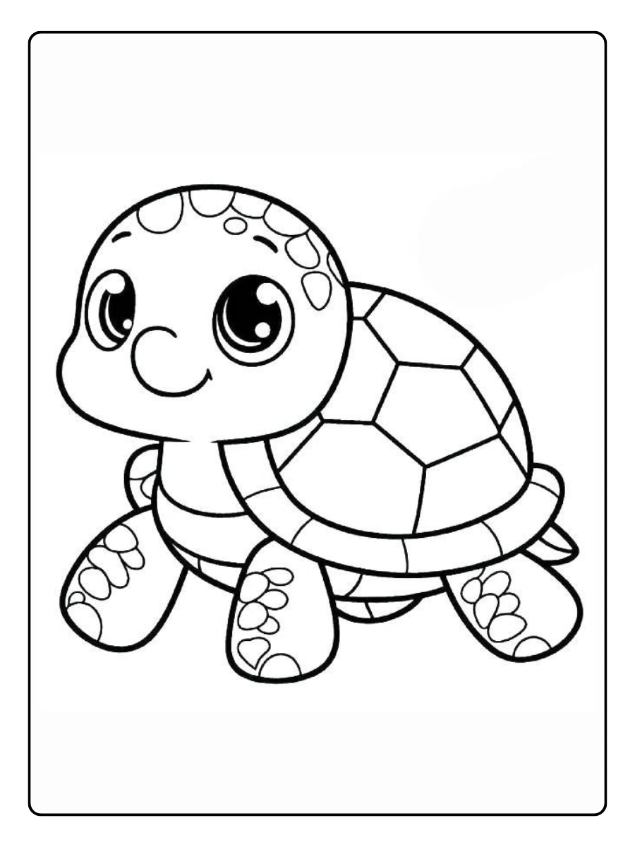 coloriage tortue réaliste