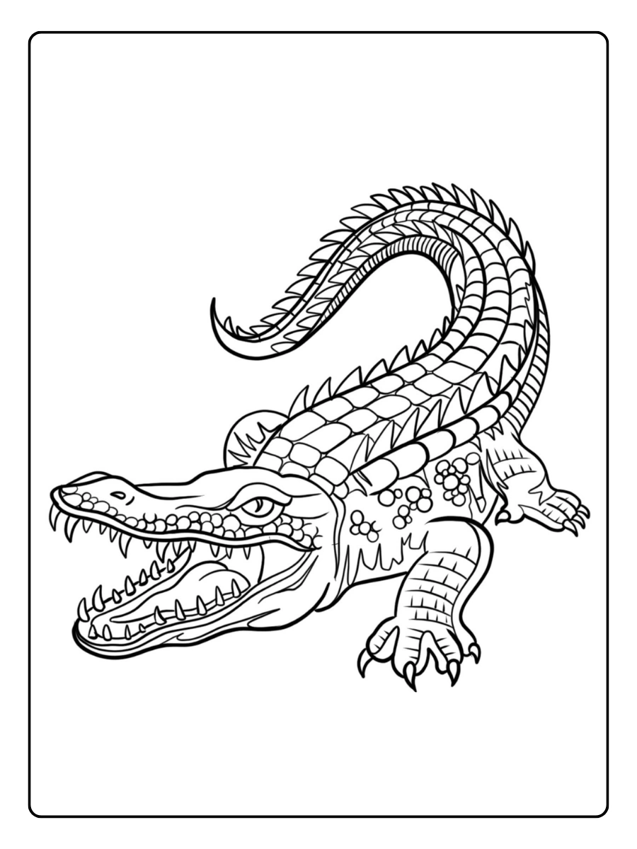 Dessin crocodile à colorier